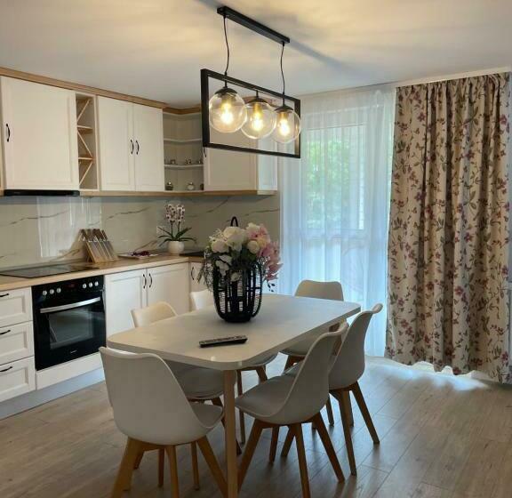 Chic Studio Maramures