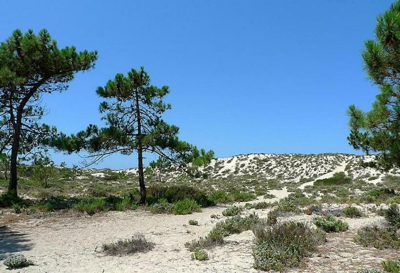 Comporta Beach House