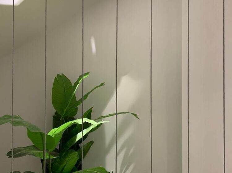 Отель Blanco Pachuca