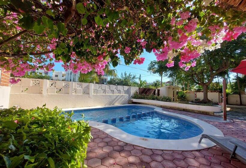 호텔 Cabañas Puerto Morelos