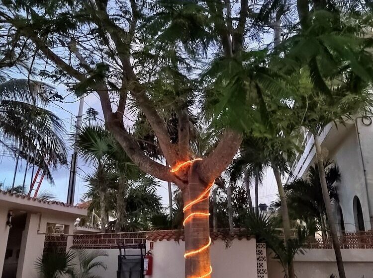 호텔 Cabañas Puerto Morelos