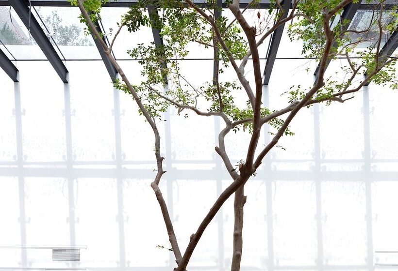 Casa Polanco Hotel Boutique