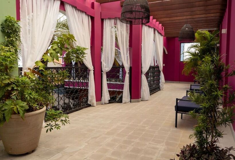 Отель Exotica Boutique