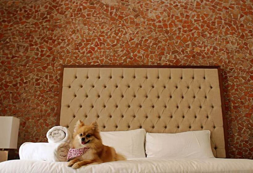 בית מלון כפרי Hacienda San Cristobal