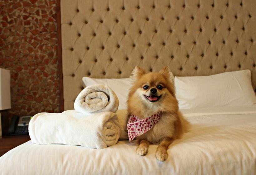 בית מלון כפרי Hacienda San Cristobal