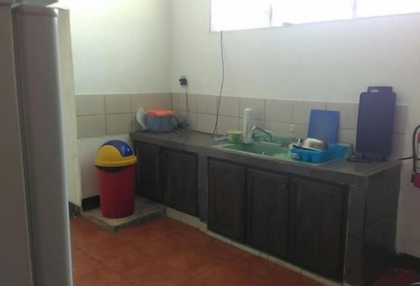 Отель The Sleeping Dog Hostel