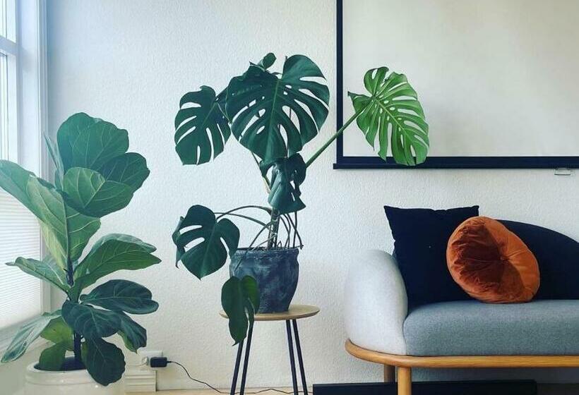 Modern House With Office Possibilities