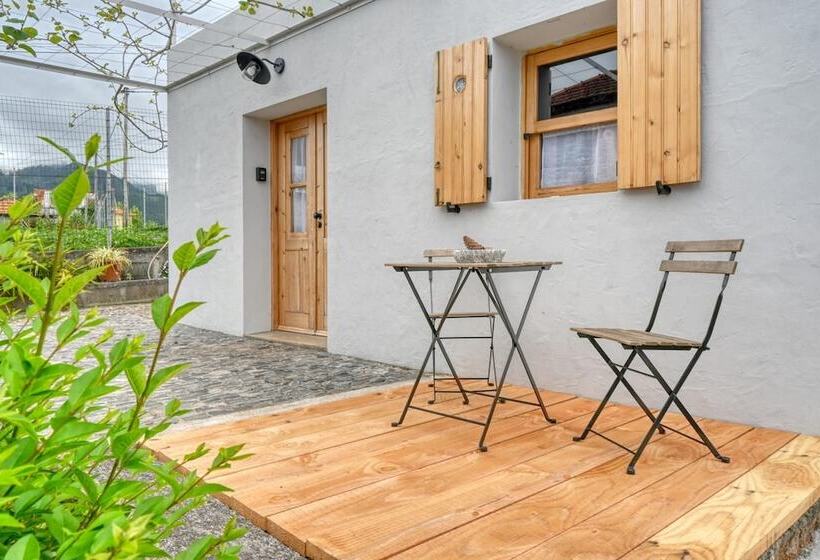 O Lagar Do Avô, A Home In Madeira