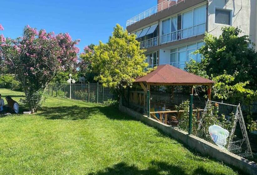 Sea House With A Garden