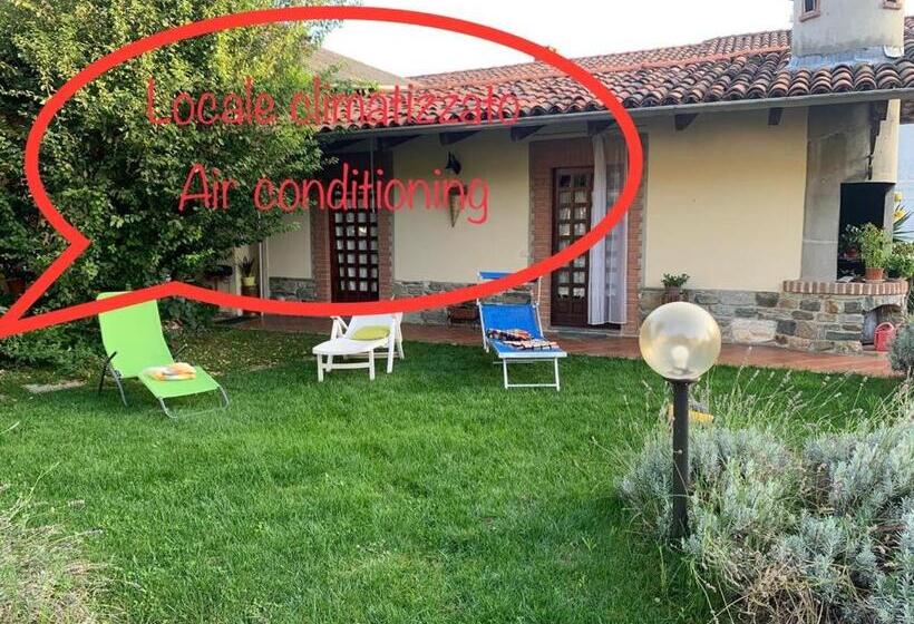 Bed and Breakfast Bouganville