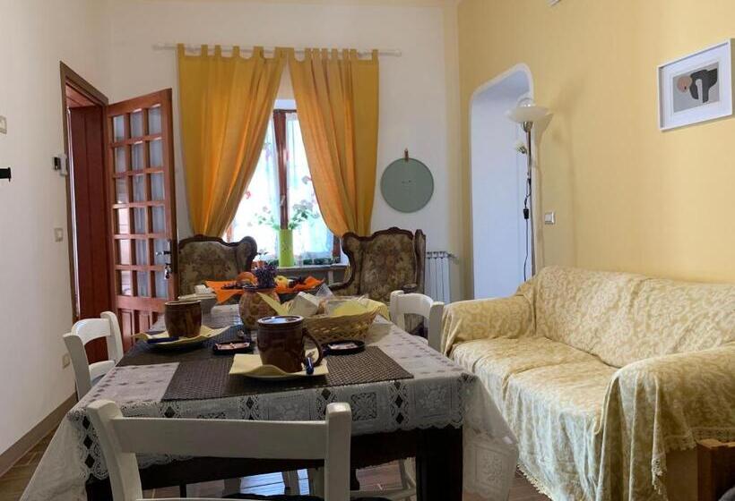 Bed and Breakfast Bouganville