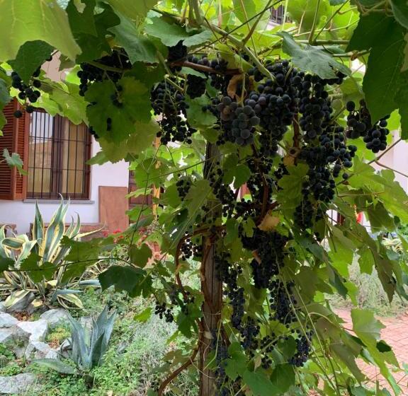 Bed and Breakfast Bouganville