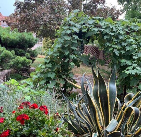 Bed and Breakfast Bouganville