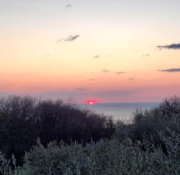 צימר Piccola California