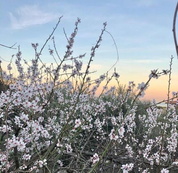 צימר Piccola California