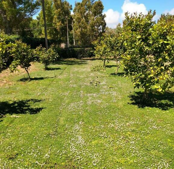 호텔 Agriturismo I Doni Del Mandorlo