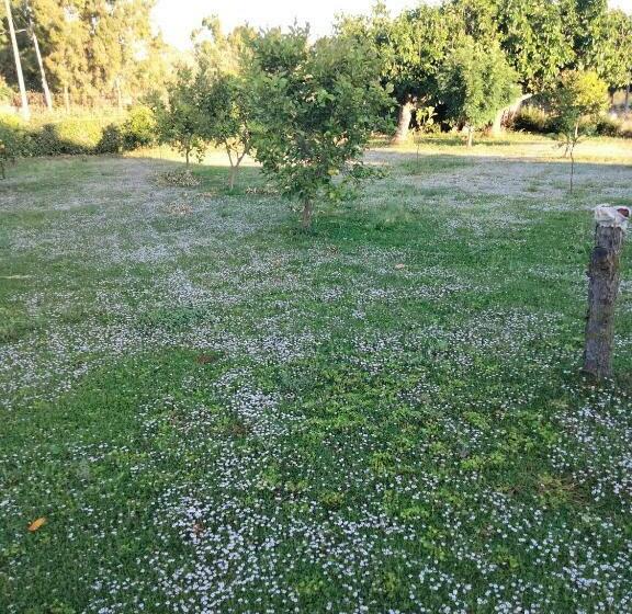 호텔 Agriturismo I Doni Del Mandorlo