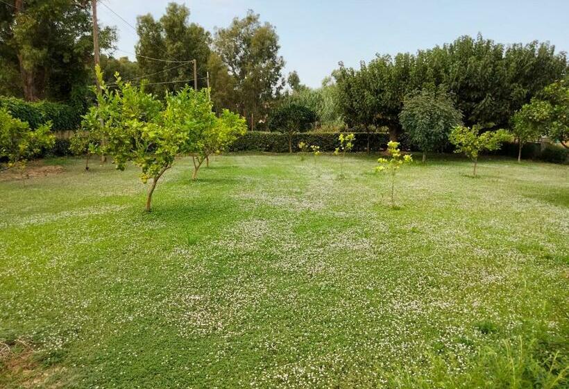 호텔 Agriturismo I Doni Del Mandorlo