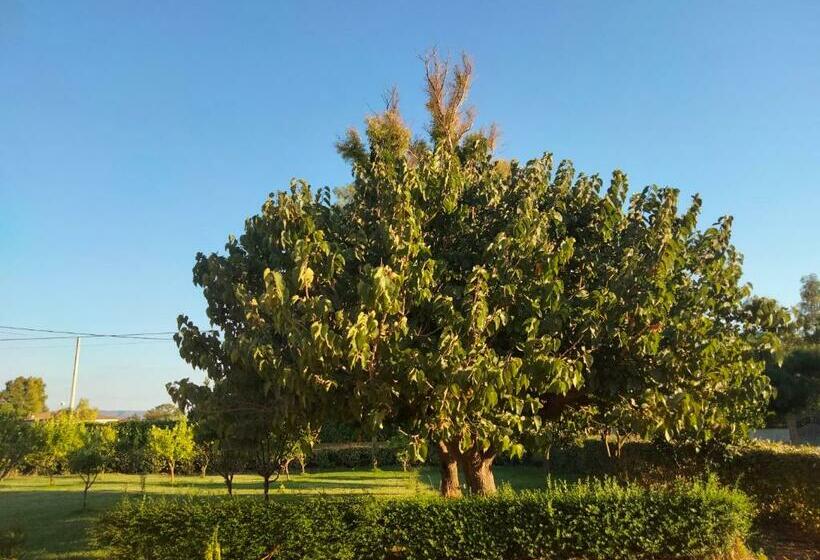 호텔 Agriturismo I Doni Del Mandorlo