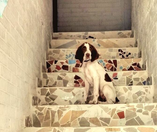 בית מלון כפרי Canova Hostel & Pizza