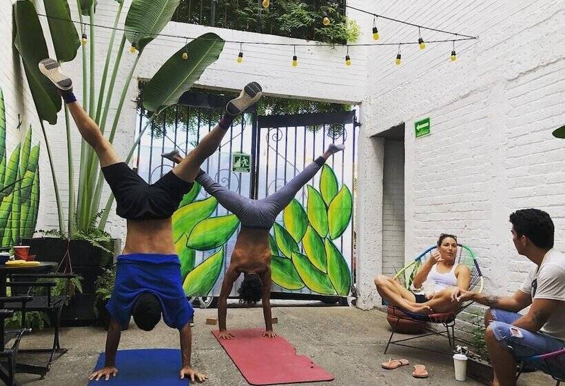 בית מלון כפרי Canova Hostel & Pizza