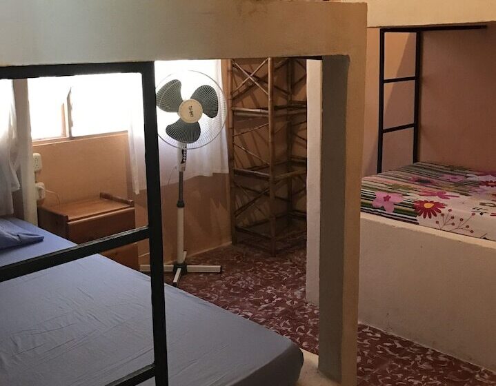 ホテル Casa Angela   Hostel