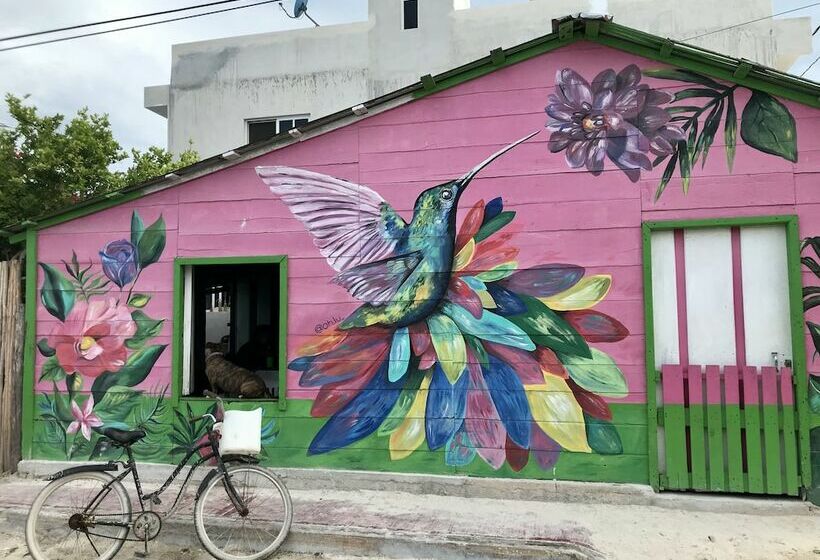 בית מלון כפרי Ecoco Holbox   Ecochic   Cabañas De Madera   Holbox Retreat