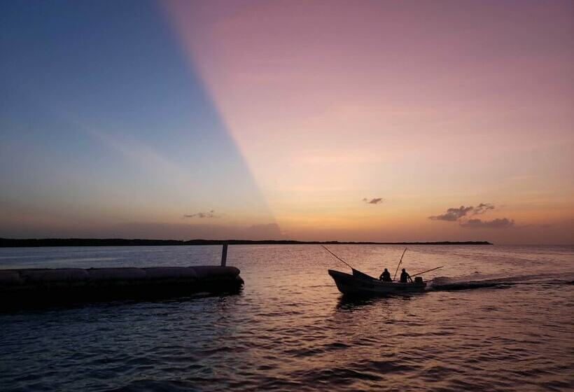 בית מלון כפרי Ecoco Holbox   Ecochic   Cabañas De Madera   Holbox Retreat