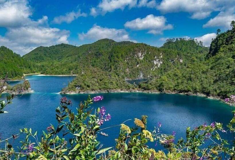 ホテル Hacienda Villa Victoria