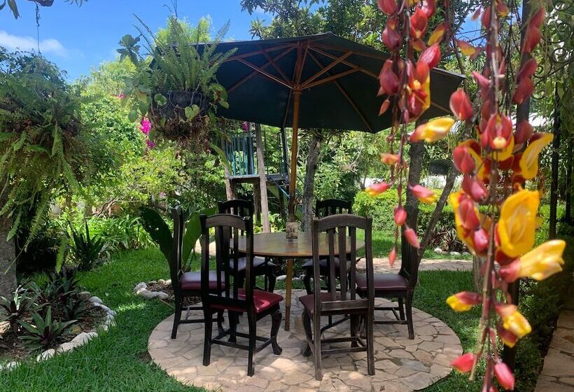 ホテル Hacienda Villa Victoria