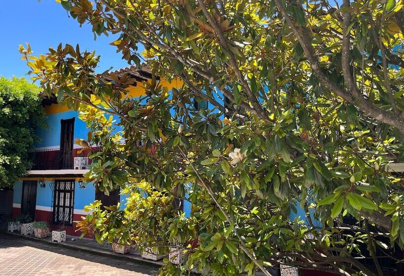 ホテル Hacienda Villa Victoria