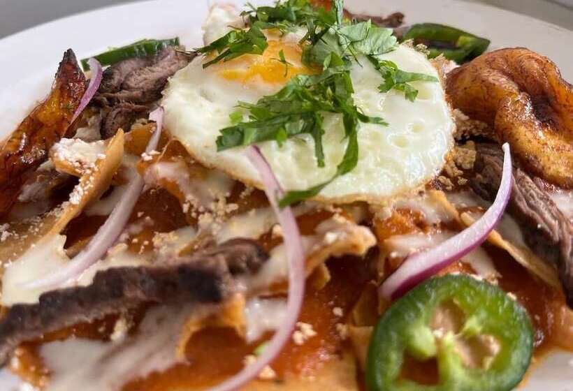 ホテル Hacienda Villa Victoria