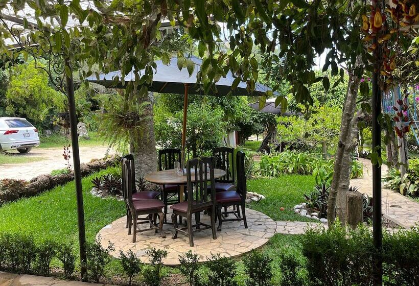 ホテル Hacienda Villa Victoria