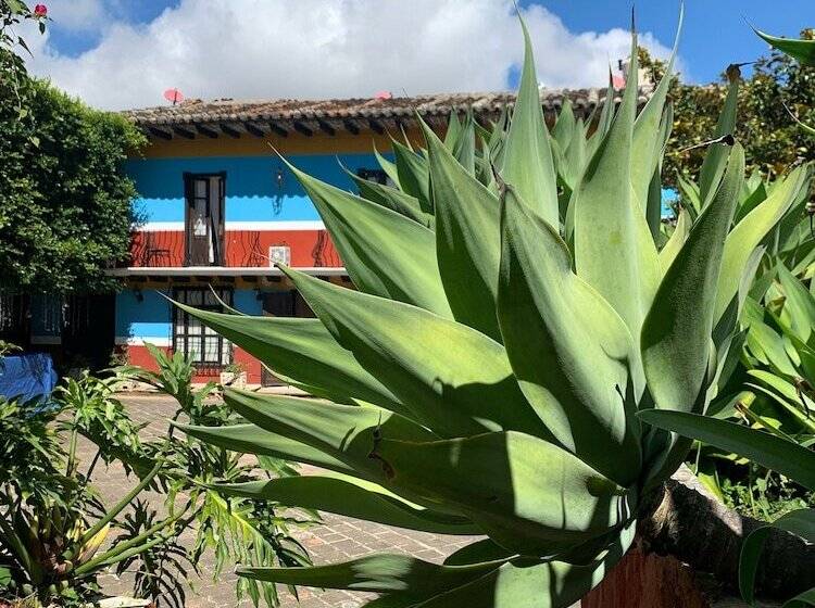 ホテル Hacienda Villa Victoria