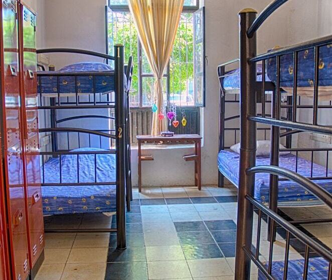 Отель Hostal De Maria   Hostel