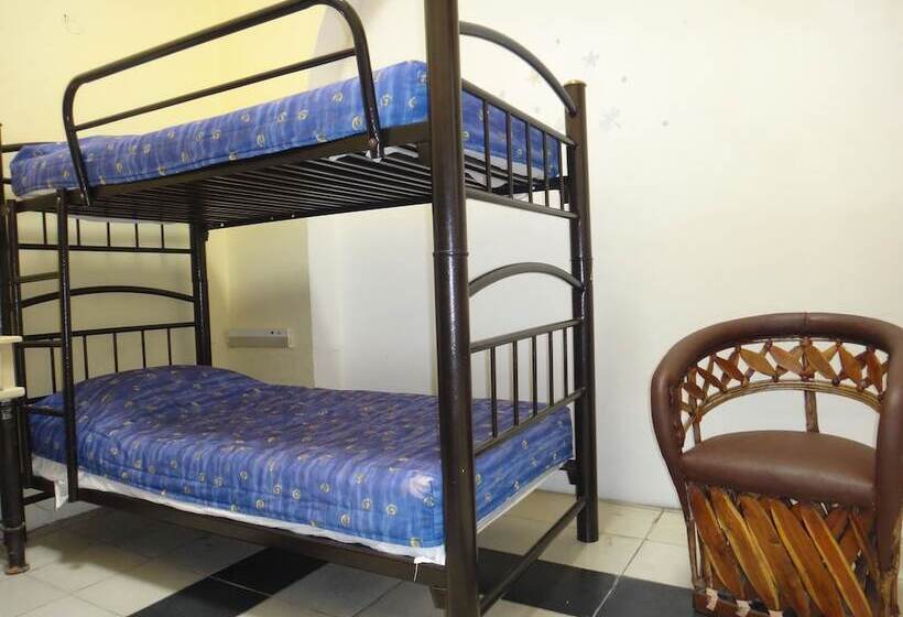 Отель Hostal De Maria   Hostel