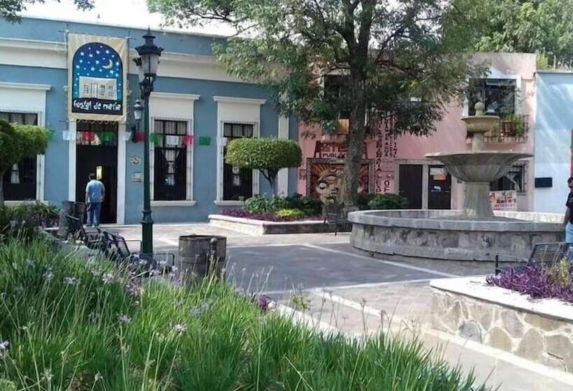 Отель Hostal De Maria   Hostel