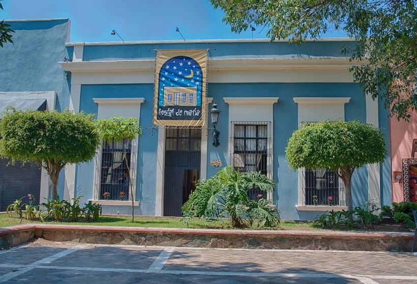 Отель Hostal De Maria   Hostel