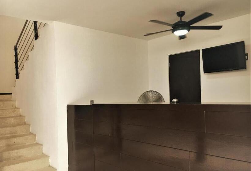 ホテル Sole Suites