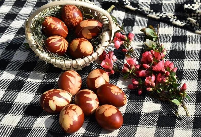 بنسيون Gospodaria Klaus