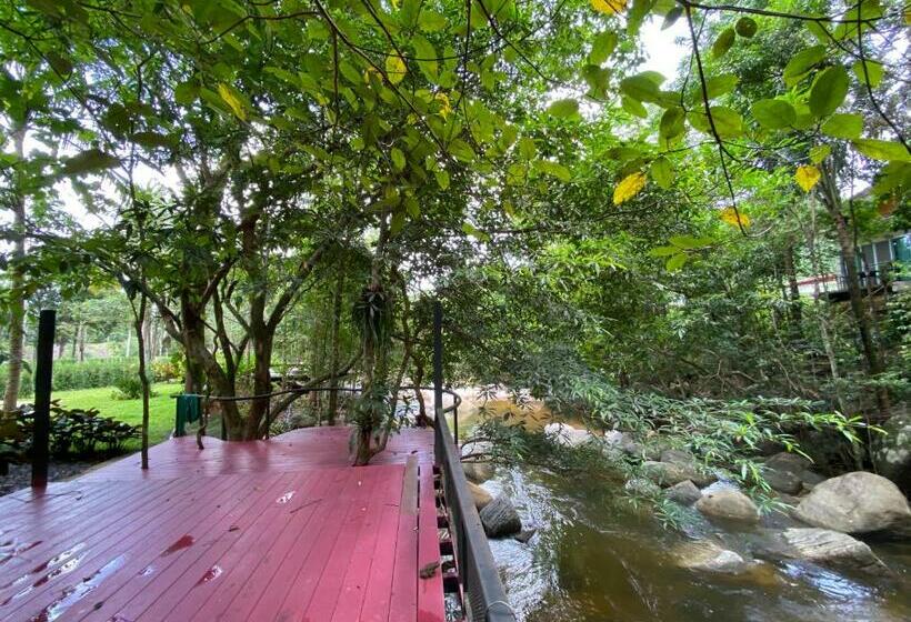 膳宿费 Ton Phrae Thong Villa