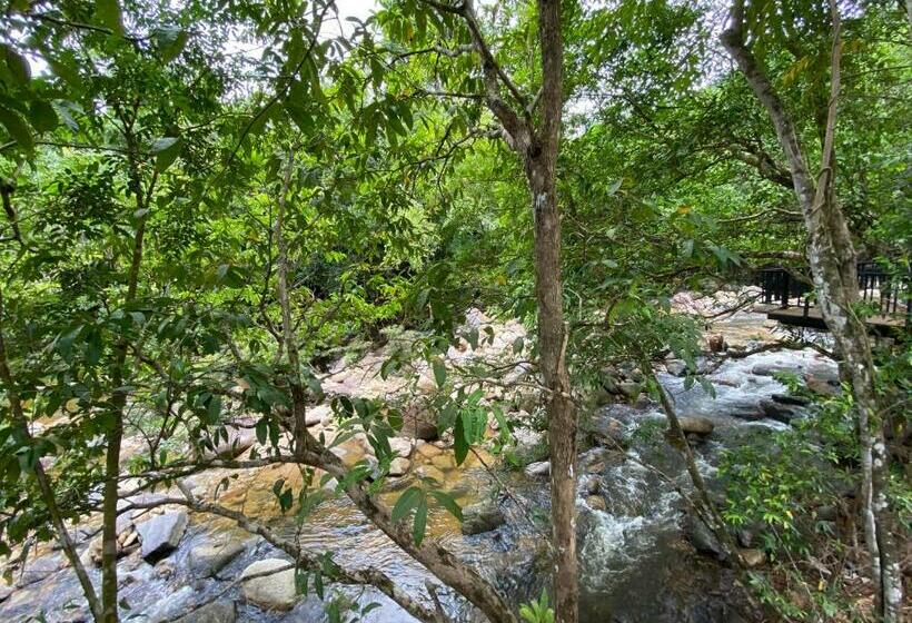 膳宿费 Ton Phrae Thong Villa