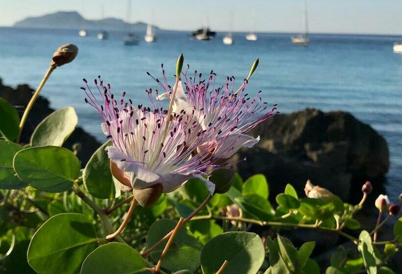 פנסיון Zaffiro Lavico Rooms Etna Nature Sea