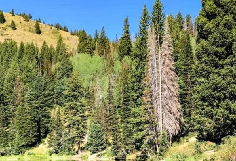 Mountain Cabin, Close To Slopes, 4br And 3ba, Hottub