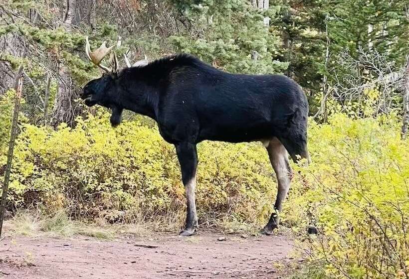 Mountain Cabin, Close To Slopes, 4br And 3ba, Hottub