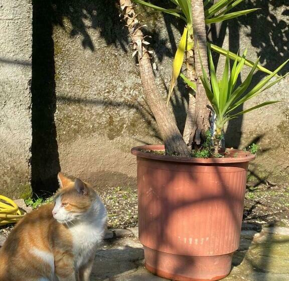 민박 Gather Inn Guest House