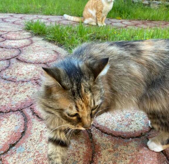 민박 Gather Inn Guest House