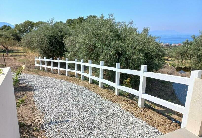 Bed and Breakfast L Albero Della Manna