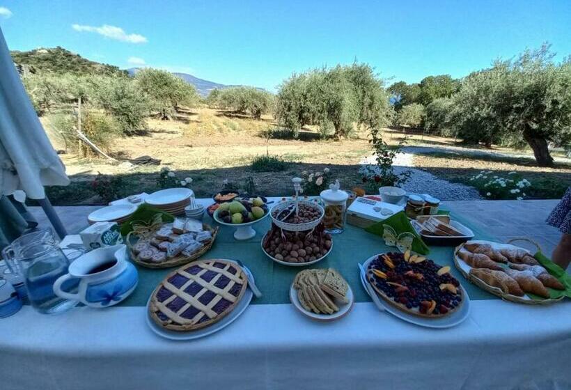 Bed and Breakfast L Albero Della Manna