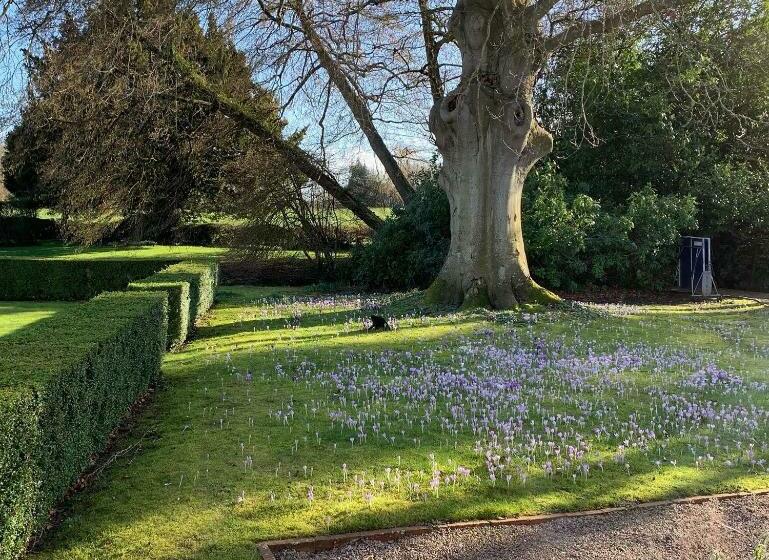 ベッドアンドブレックファースト The Old Vicarage